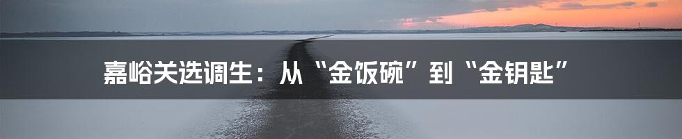 嘉峪关选调生:从“金饭碗”到“金钥匙”