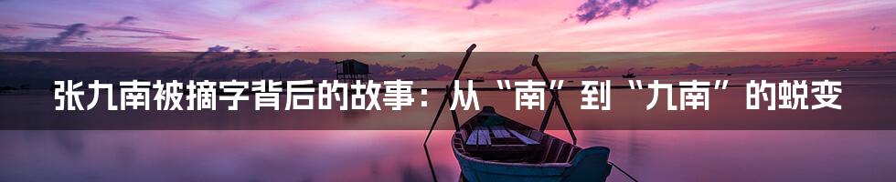 张九南被摘字背后的故事:从“南”到“九南”的蜕变