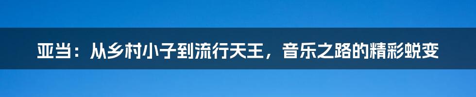 亚当：从乡村小子到流行天王，音乐之路的精彩蜕变