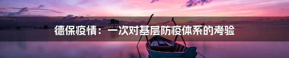 德保疫情:一次对基层防疫体系的考验