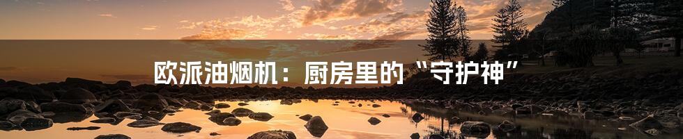 欧派油烟机:厨房里的“守护神”