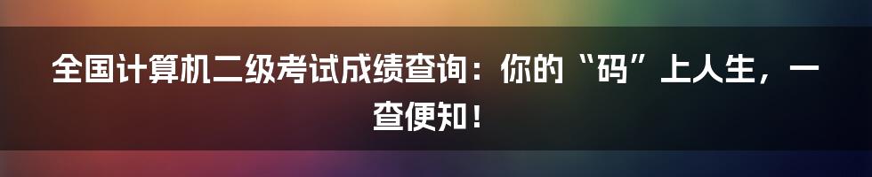 全国计算机二级考试成绩查询：你的“码”上人生，一查便知！