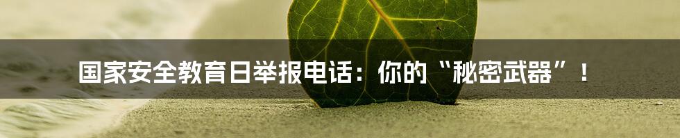国家安全教育日举报电话：你的“秘密武器”！