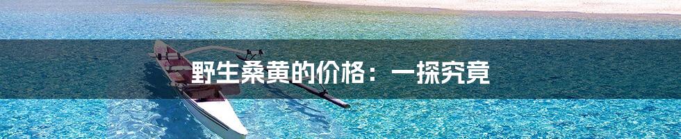 野生桑黄的价格：一探究竟