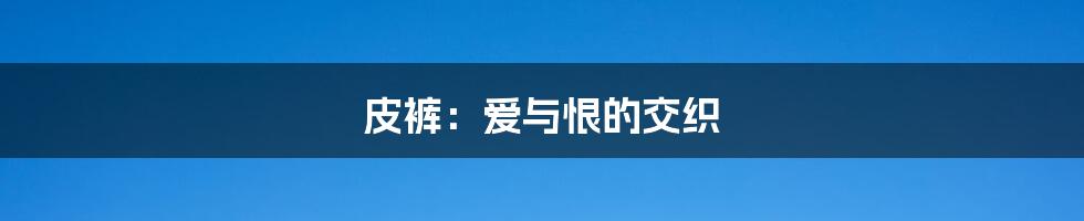 皮裤：爱与恨的交织