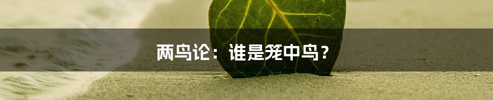 两鸟论:谁是笼中鸟?