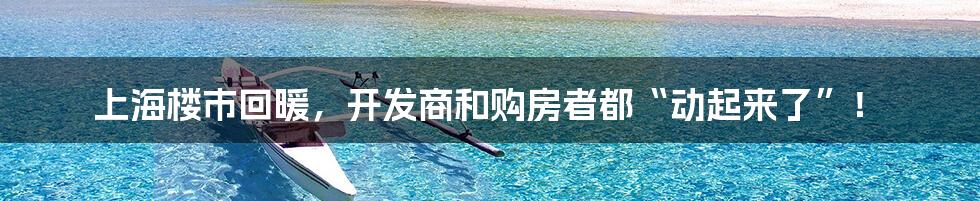 上海楼市回暖,开发商和购房者都“动起来了”!