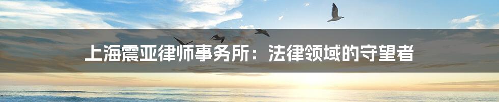 上海震亚律师事务所:法律领域的守望者