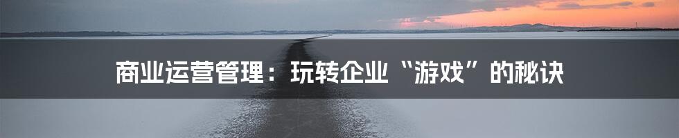 商业运营管理：玩转企业“游戏”的秘诀