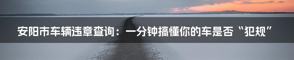 安阳市车辆违章查询:一分钟搞懂你的车是否“犯规”