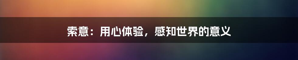 索意:用心体验,感知世界的意义