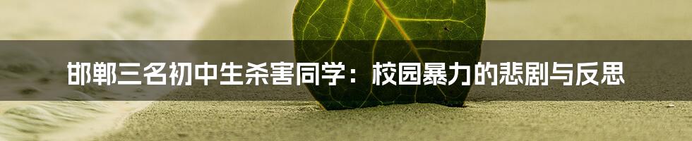邯郸三名初中生杀害同学:校园暴力的悲剧与反思