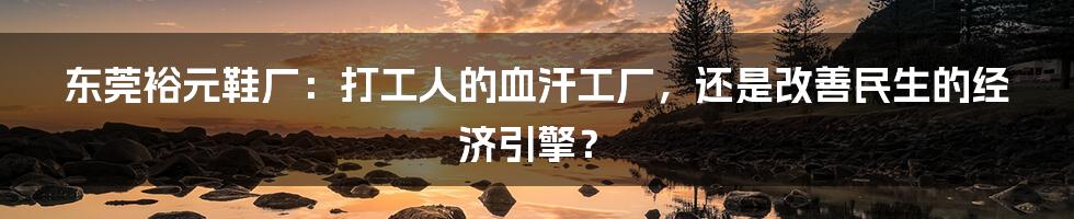 东莞裕元鞋厂:打工人的血汗工厂,还是改善民生的经济引擎?