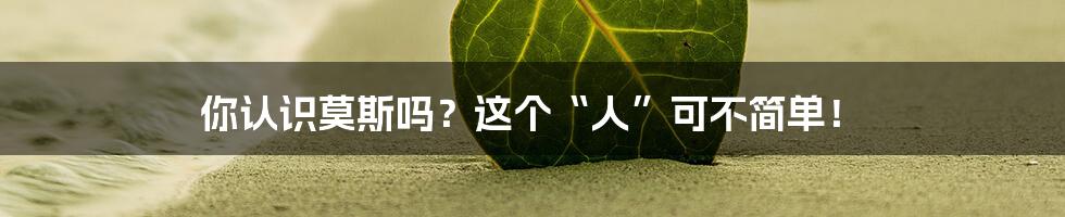 你认识莫斯吗?这个“人”可不简单!