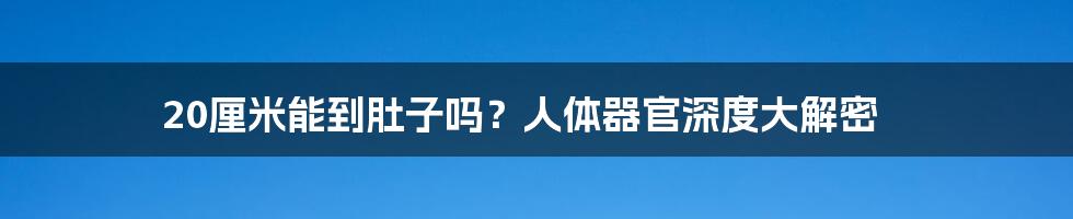 20厘米能到肚子吗?人体器官深度大解密