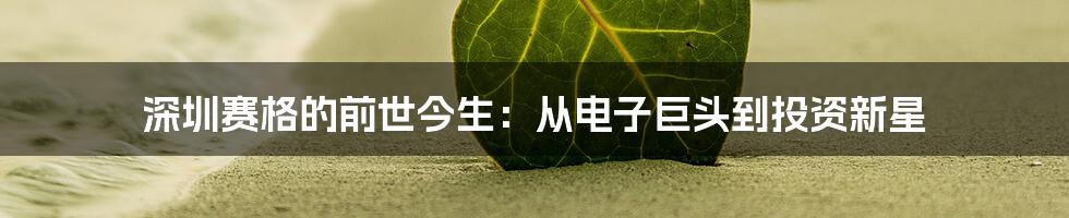 深圳赛格的前世今生:从电子巨头到投资新星