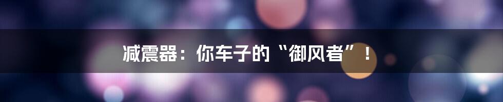 减震器:你车子的“御风者”!