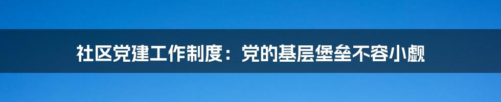 社区党建工作制度：党的基层堡垒不容小觑