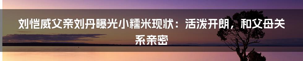 刘恺威父亲刘丹曝光小糯米现状:活泼开朗,和父母关系亲密