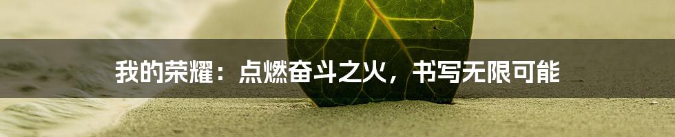 我的荣耀:点燃奋斗之火,书写无限可能
