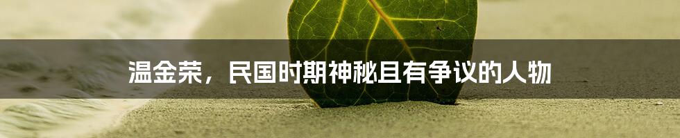 温金荣,民国时期神秘且有争议的人物