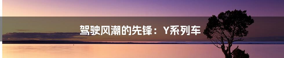 驾驶风潮的先锋:Y系列车