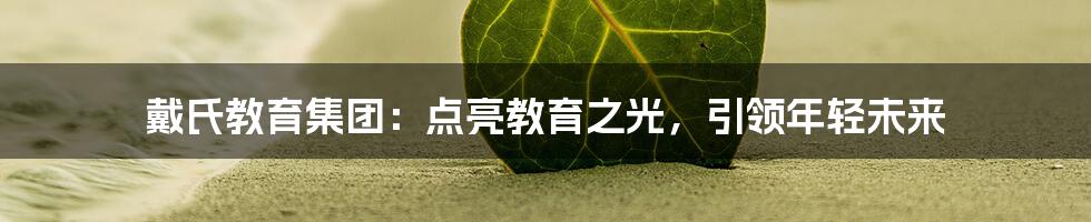 戴氏教育集团:点亮教育之光,引领年轻未来