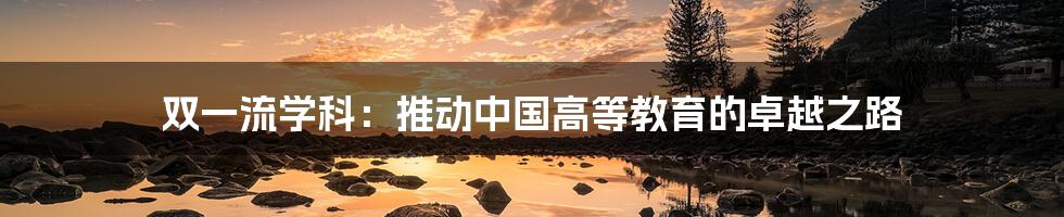 双一流学科:推动中国高等教育的卓越之路