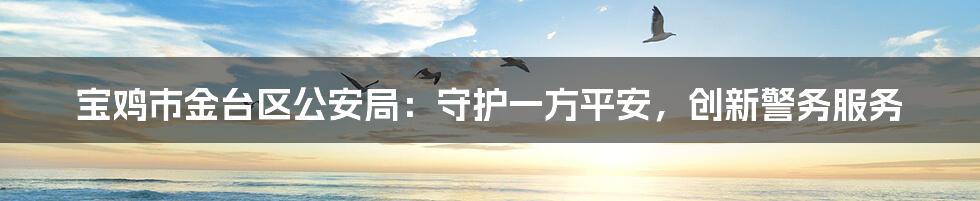 宝鸡市金台区公安局:守护一方平安,创新警务服务