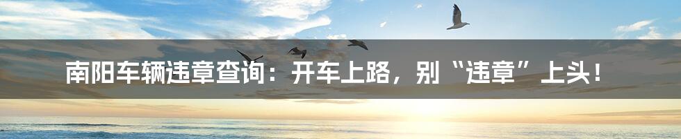 南阳车辆违章查询:开车上路,别“违章”上头!