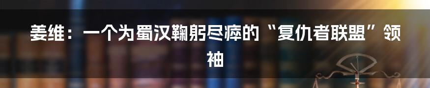 姜维:一个为蜀汉鞠躬尽瘁的“复仇者联盟”领袖