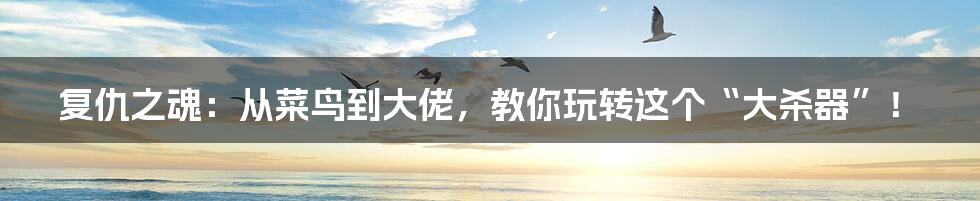 复仇之魂:从菜鸟到大佬,教你玩转这个“大杀器”!