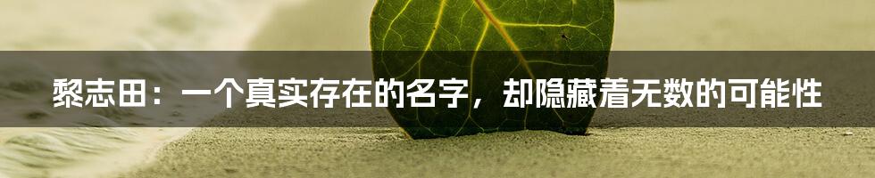 黎志田:一个真实存在的名字,却隐藏着无数的可能性
