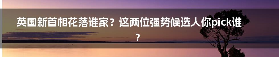 英国新首相花落谁家?这两位强势候选人你pick谁?