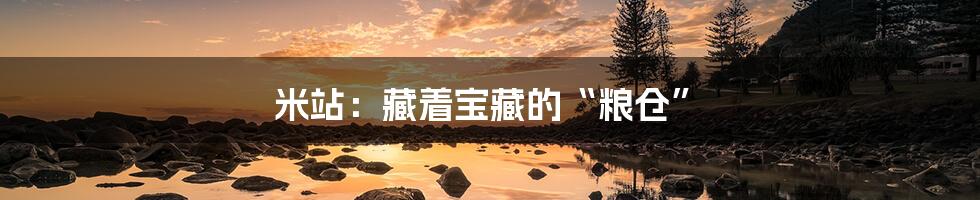 米站:藏着宝藏的“粮仓”