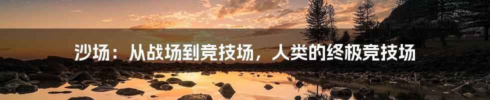 沙场：从战场到竞技场，人类的终极竞技场