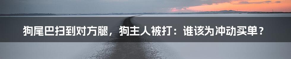 狗尾巴扫到对方腿,狗主人被打:谁该为冲动买单?