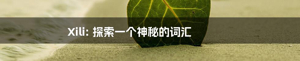 Xili: 探索一个神秘的词汇