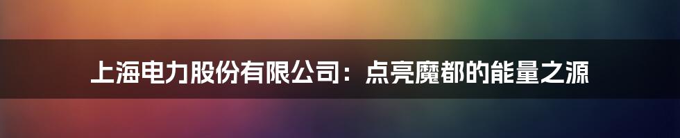 上海电力股份有限公司:点亮魔都的能量之源