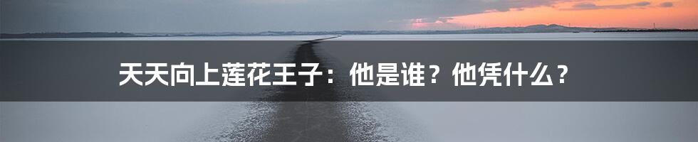 天天向上莲花王子:他是谁?他凭什么?