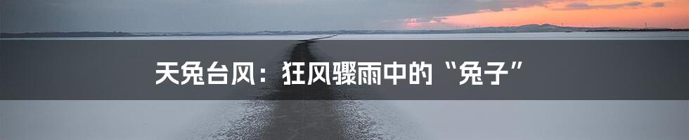 天兔台风:狂风骤雨中的“兔子”