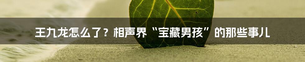 王九龙怎么了?相声界“宝藏男孩”的那些事儿