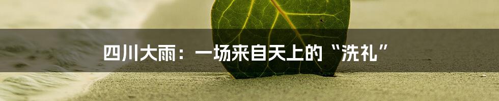 四川大雨:一场来自天上的“洗礼”