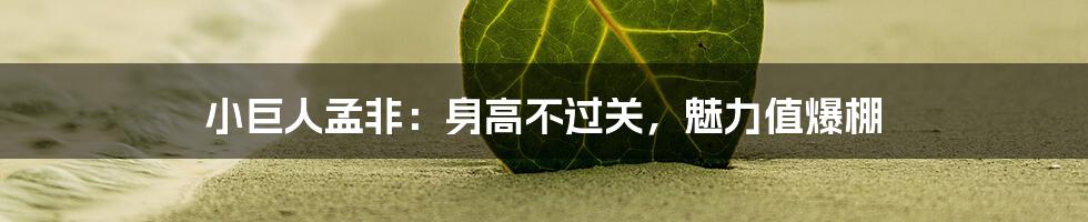 小巨人孟非：身高不过关，魅力值爆棚