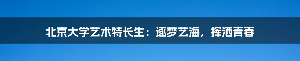 北京大学艺术特长生:逐梦艺海,挥洒青春
