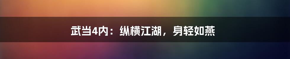 武当4内:纵横江湖,身轻如燕