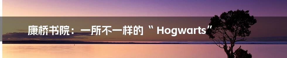 康桥书院:一所不一样的“ Hogwarts”