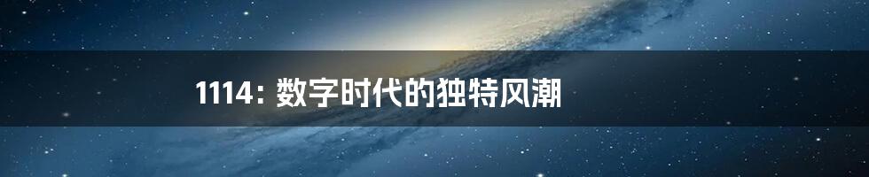 1114: 数字时代的独特风潮