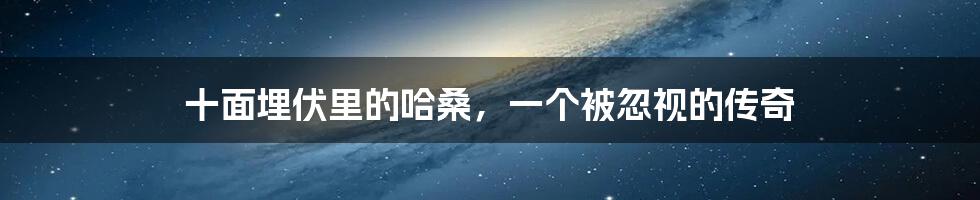 十面埋伏里的哈桑,一个被忽视的传奇
