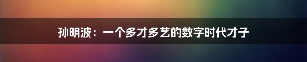 孙明波:一个多才多艺的数字时代才子